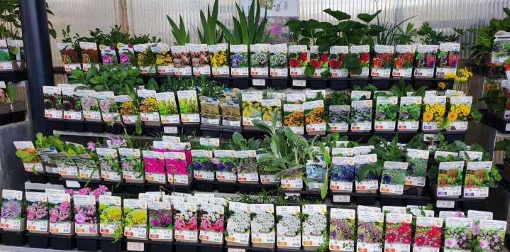 02634e26 dfd8 4694 b2c2 69b0bad4e3bd