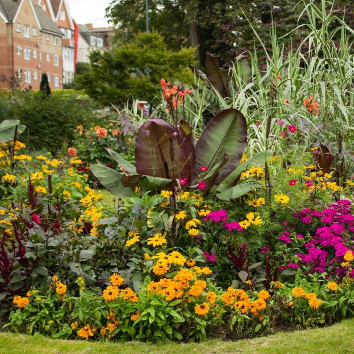 Un espace vert esthétique et fonctionnel