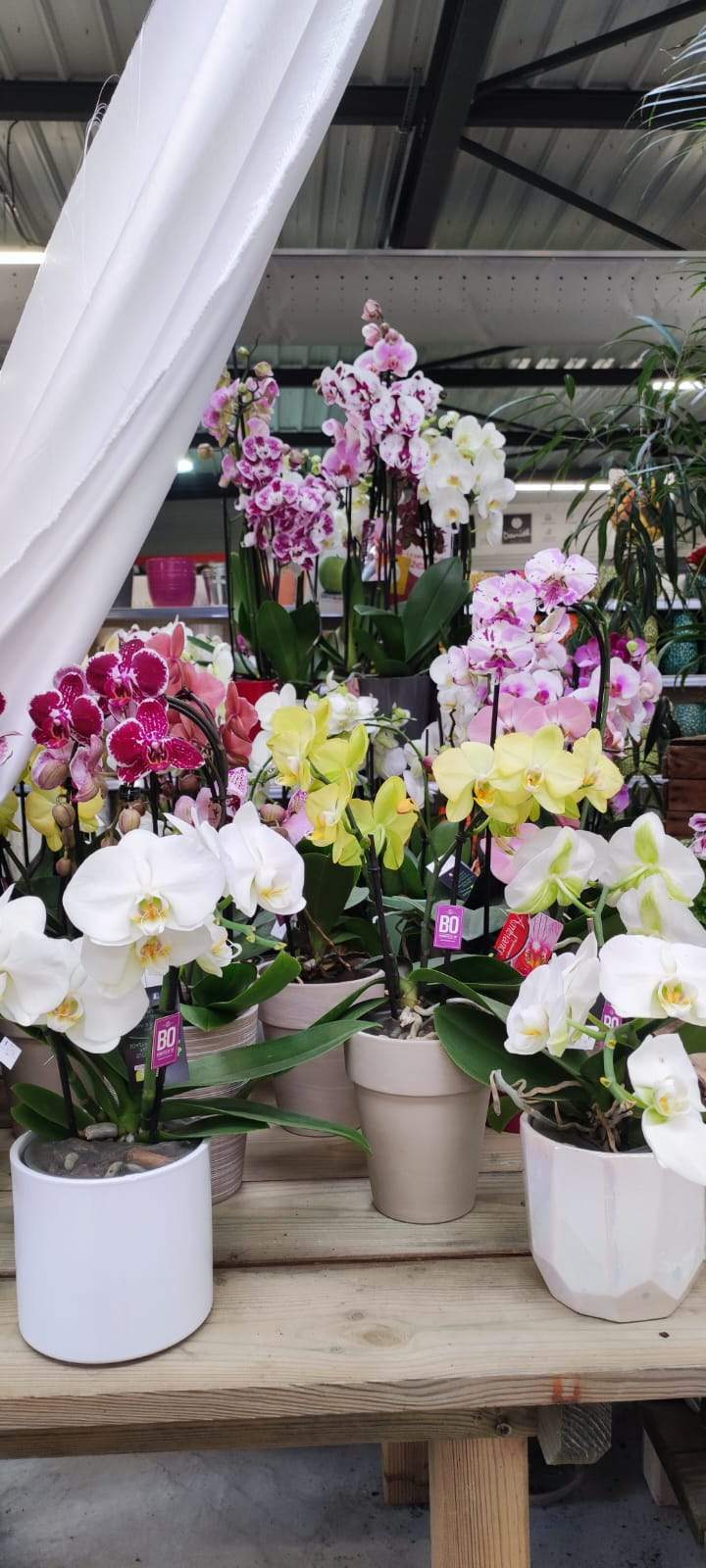 21fe168b bc18 4c04 85ae 210d2ce69332