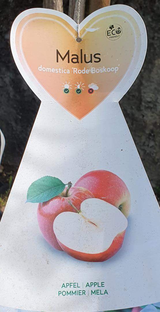  Vente d'arbres fruitiers Chalamont 