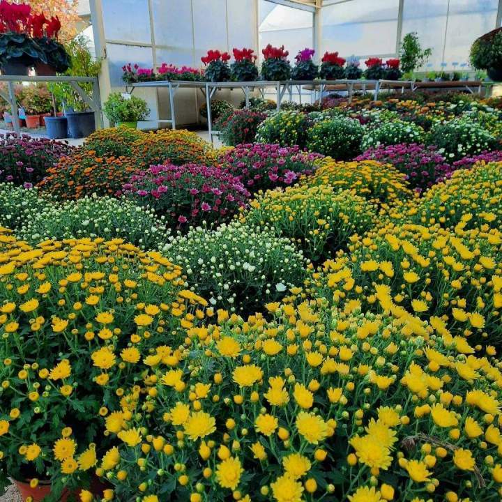 Une entreprise spécialisée dans la jardinerie et l’aménagement paysager