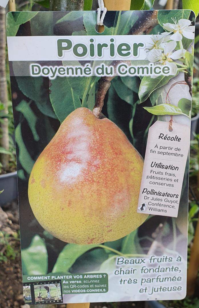 Arbres fruitiers Chalamont