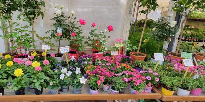 Arrivage de fleurs Chalamont