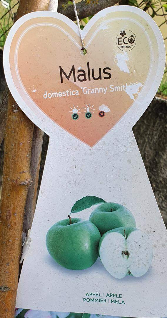 Arbres fruitiers Chalamont