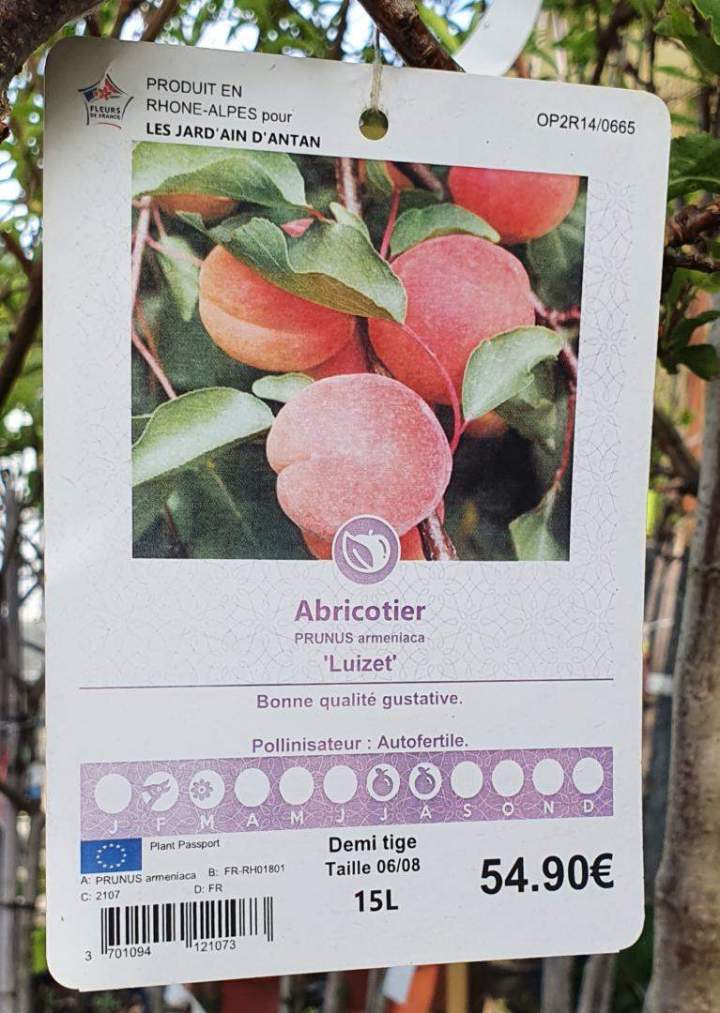 Arbres fruitiers Chalamont