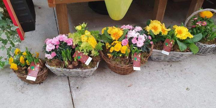 Marché aux fleurs Chalamont