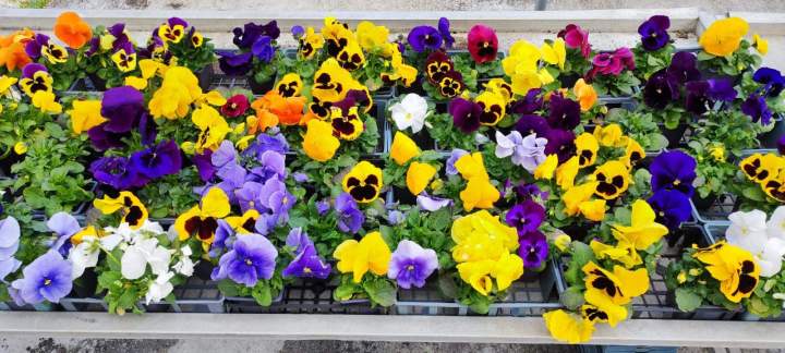 b2a79471 b7aa 4dbb 8d35 68dfa2dcf77e