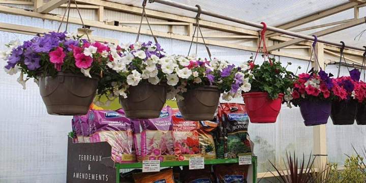 Marché aux fleurs Chalamont