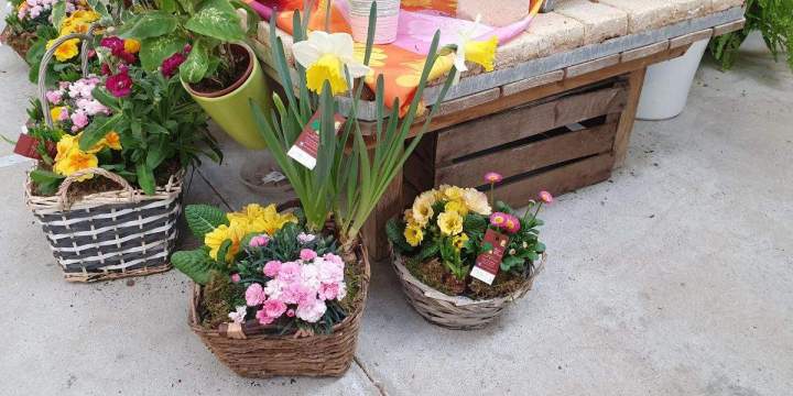 Marché aux fleurs Chalamont