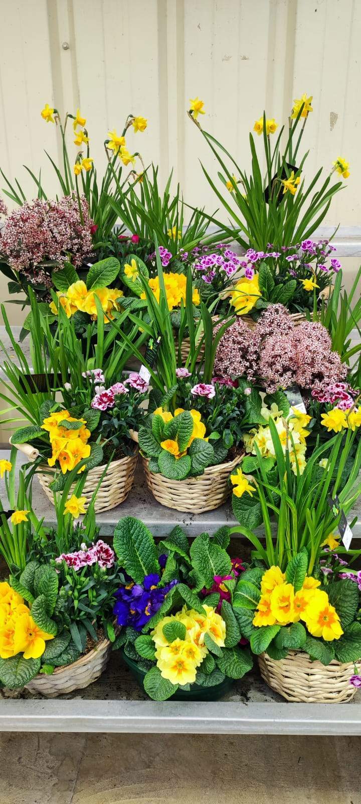 ec6d17f4 dd92 49f3 8b04 44b98e47d3b5