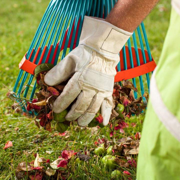 Un jardin éclatant en toute saison