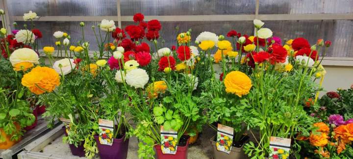 f0fdad3d 0722 4b2d baef b464ba4aedb9