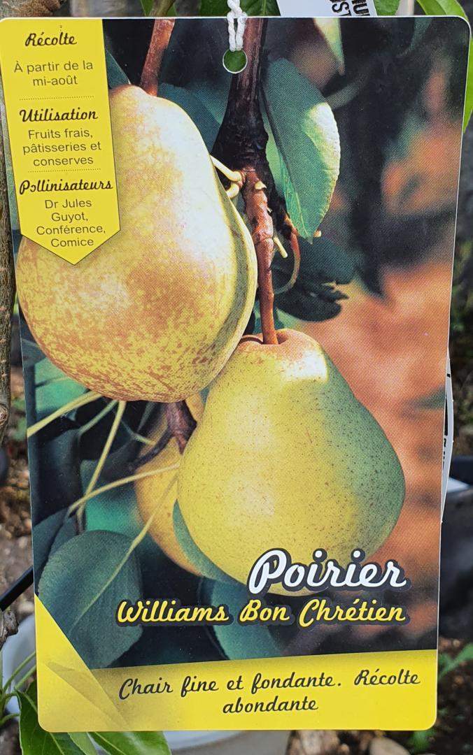  Vente d'arbres fruitiers Chalamont 