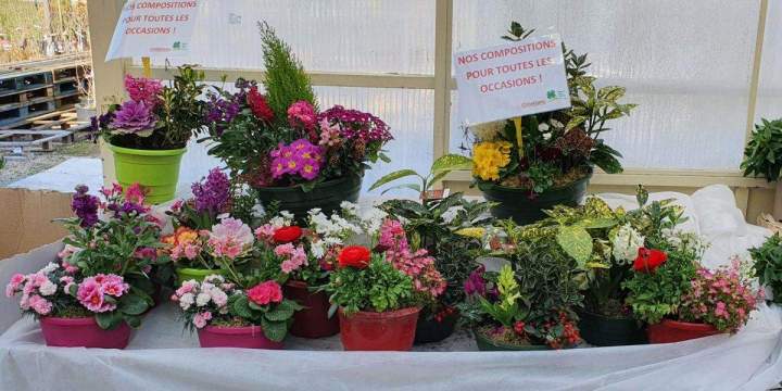 Marché aux fleurs Chalamont